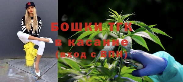 не бодяженный Верхний Тагил