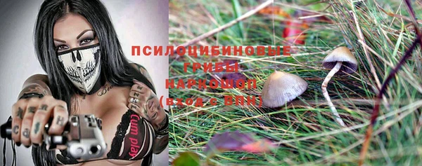 стаф Волоколамск